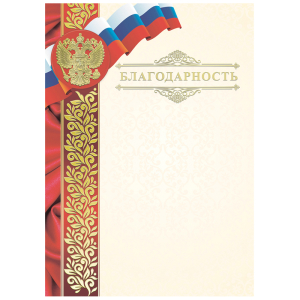 Благодарность А4, BG, мелованный картон, конгрев, тиснение фольгой. Б4тф_к_61448, 370676 ― Кнопкару. Саранск