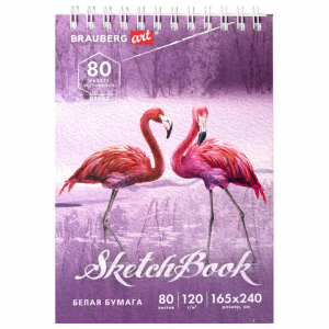 Скетчбук, белая бумага 120 г/м2 165х240 мм, 80 л., гребень, твердая обложка, BRAUBERG ART DEBUT. 112990 ― Кнопкару. Саранск