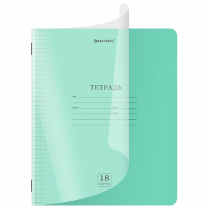 Тетрадь обложка пластик (прозрачный) 18 л., клетка, BRAUBERG "Smart Cover", ЗЕЛЕНАЯ. 405028 ― Кнопкару. Саранск