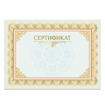 Сертификат А4, горизонтальный бланк №2, мелованный картон, конгрев, тиснение фольгой, BRAUBERG. 128375 