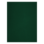 Тетрадь 48л., А4 клетка BG, бумвинил, зеленый. Т4бв48к_12322, 357599