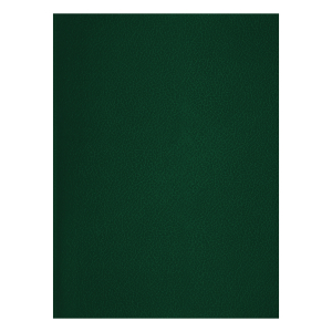 Тетрадь 48л., А4 клетка BG, бумвинил, зеленый. Т4бв48к_12322, 357599 ― Кнопкару. Саранск